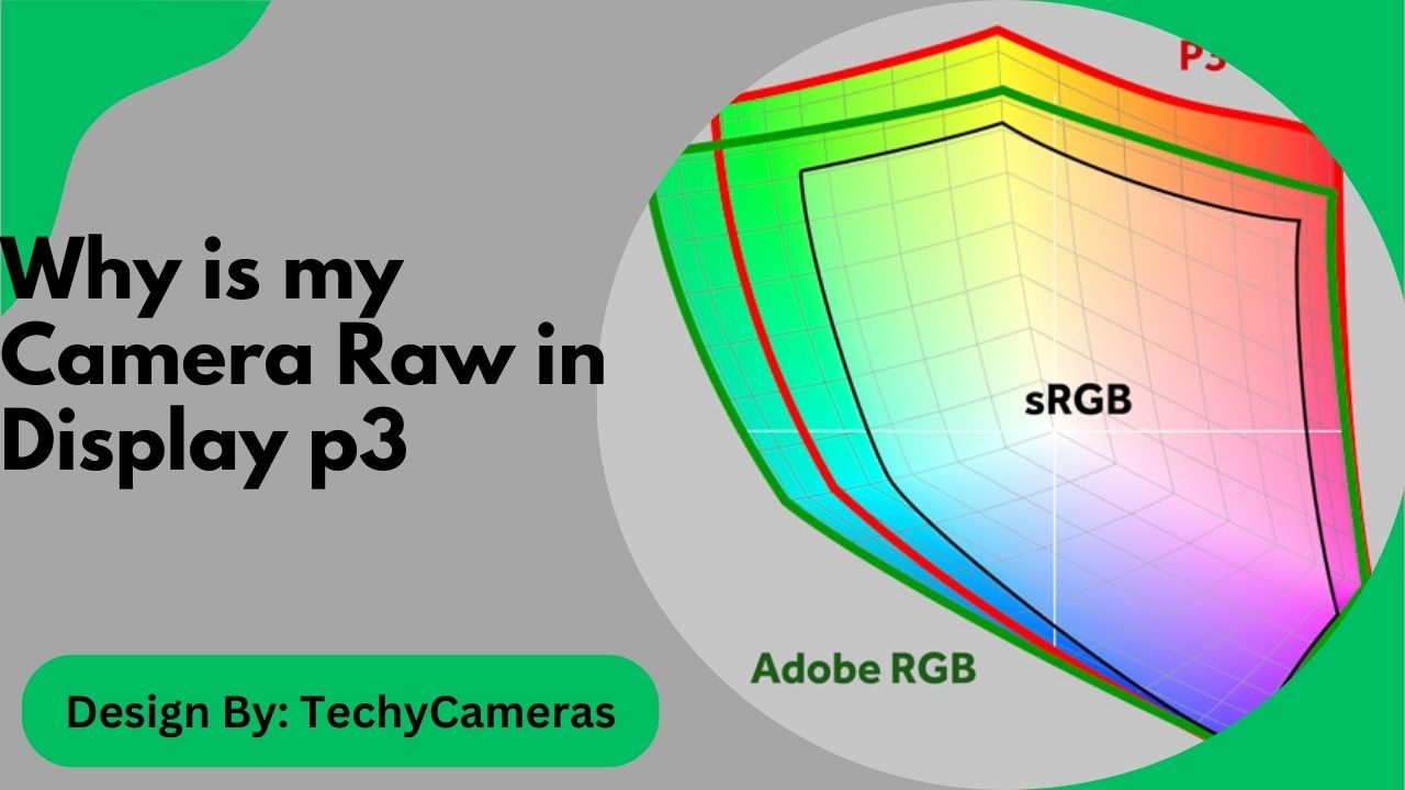 Why is my Camera Raw in Display p3