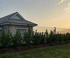 Roofing and Fencing The Backbone of Home Protection